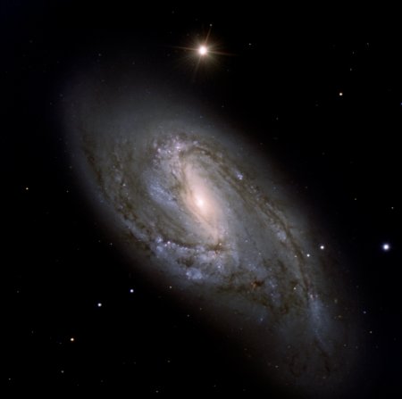    M66